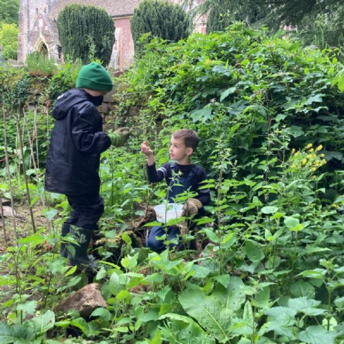 Pupils picking nettles in our nature area
