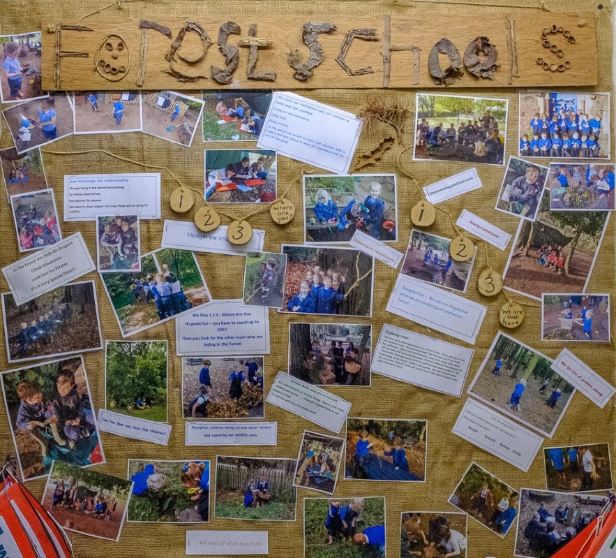 Picture of our display in board school showing a collage of pictures and writing linked to past forest school activities
