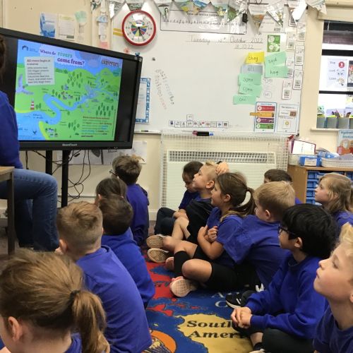 Pupils in a geography lesson